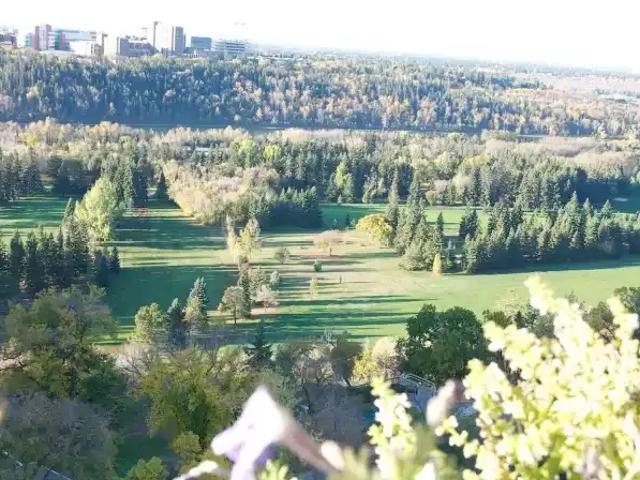 Apartment 1 Bedroom For Rent Edmonton AB 1350 ES103060473