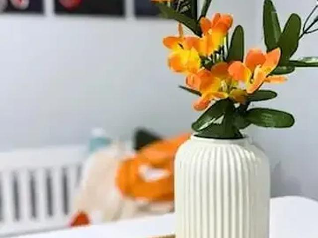 Apartment 1 Bedroom For Rent Edmonton AB 1350 ES104598277