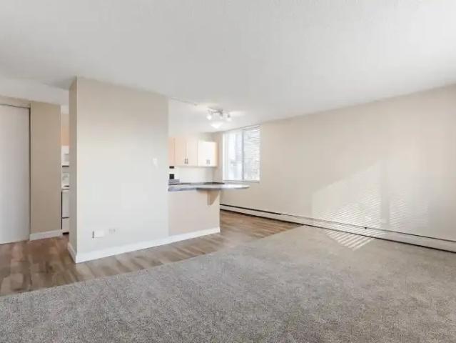 Apartment 1 Bedroom For Rent Edmonton AB 1375 ES103151677