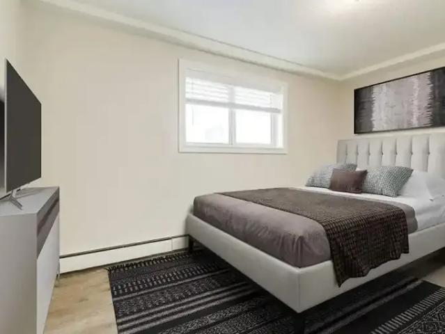 Apartment 1 Bedroom For Rent Edmonton AB 1384 ELS99674113