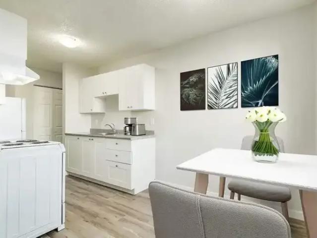 Apartment 1 Bedroom For Rent Edmonton AB 1384 ES100226652