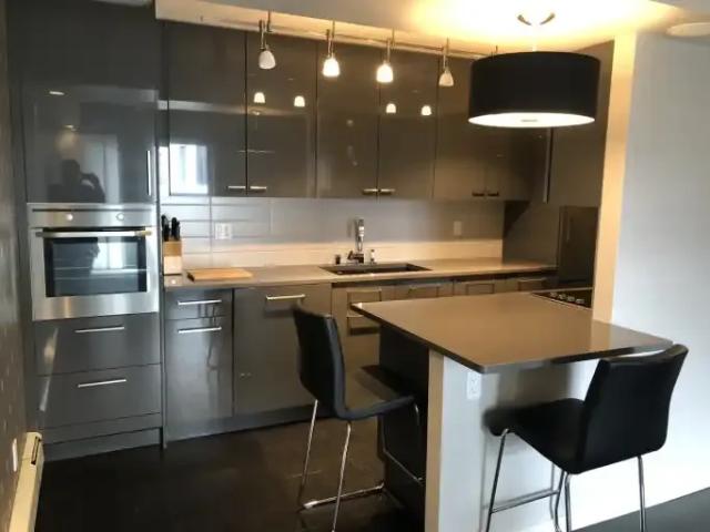 Apartment 1 Bedroom For Rent Edmonton AB 1390 ES102845475