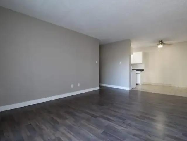 Apartment 1 Bedroom For Rent Edmonton AB 979 ELS102338717