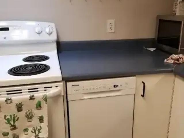 Apartment 1 Bedroom For Rent Edmonton AB 990 ES104972796