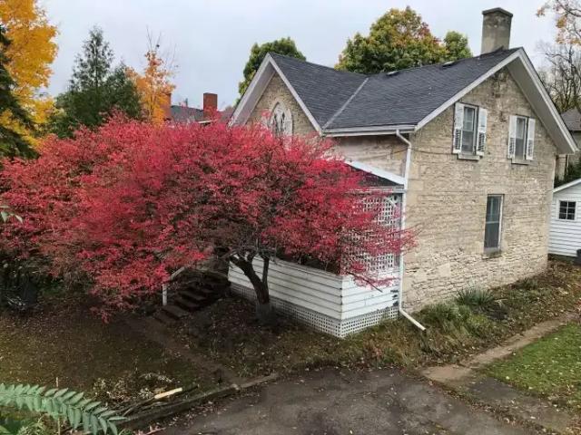 Apartment 1 Bedroom For Rent Guelph ON 1800 ELS102243010