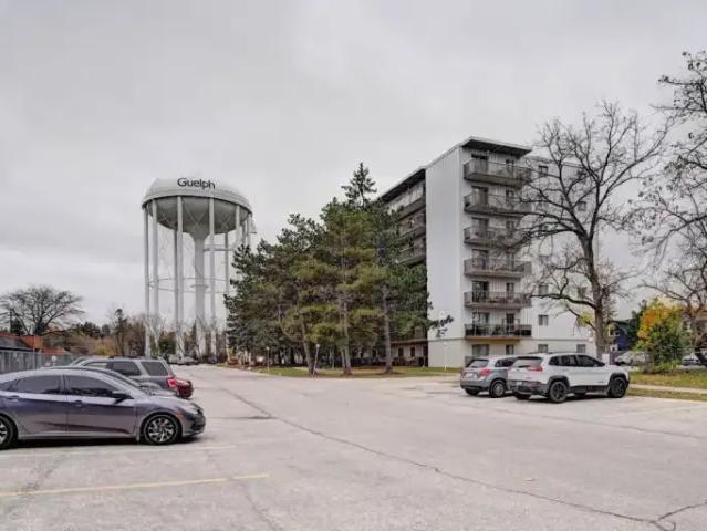 Apartment 1 Bedroom For Rent Guelph ON 2005 ES103770364