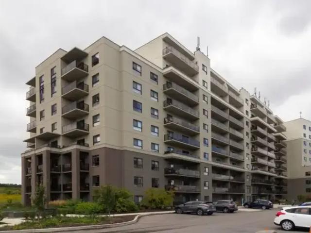 Apartment 1 Bedroom For Rent Guelph ON 2114 ES105167096