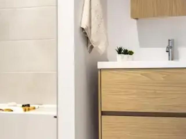 Apartment 1 Bedroom For Rent Gatineau QC 1900 ELS103118969