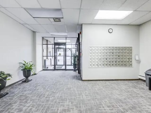 Apartment 1 Bedroom For Rent Hamilton ON 1450 ES100975535