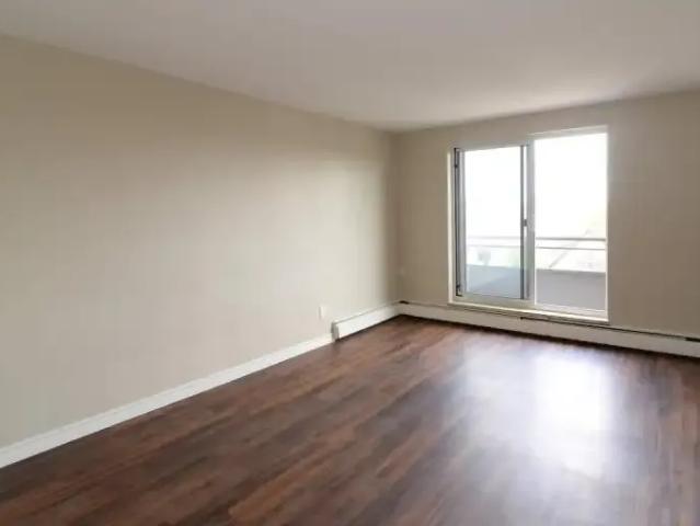 Apartment 1 Bedroom For Rent Hamilton ON 1550 ES100975855