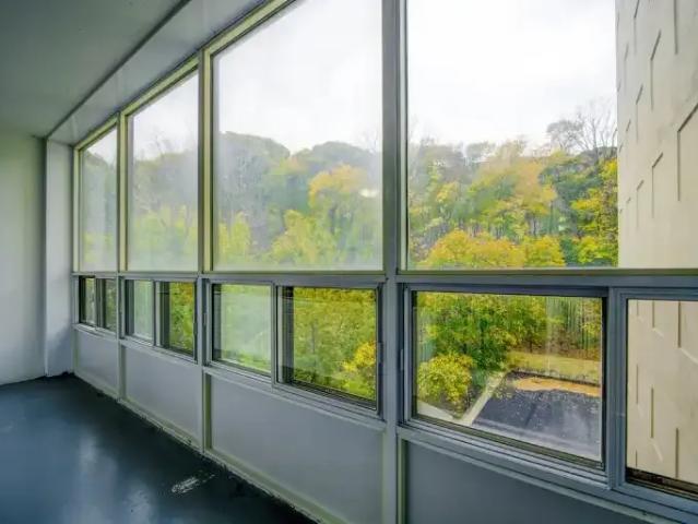Apartment 1 Bedroom For Rent Hamilton ON 1550 ES102113771