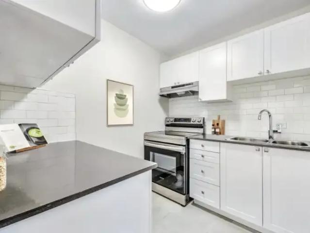 Apartment 1 Bedroom For Rent Hamilton ON 1550 ES103694014