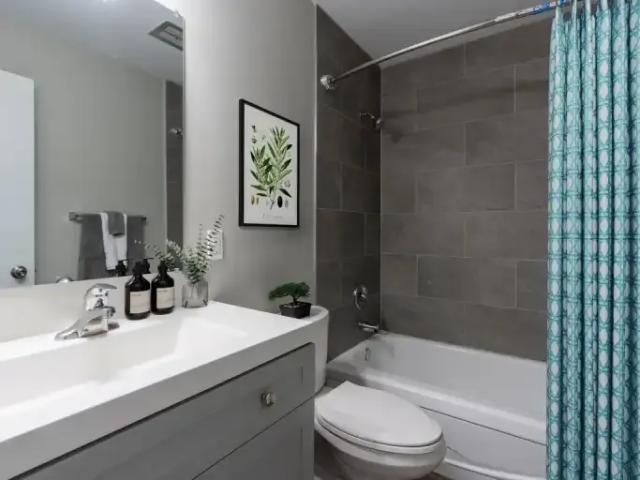 Apartment 1 Bedroom For Rent Hamilton ON 1647 ES103151522