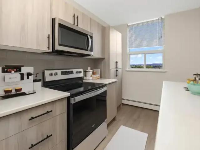 Apartment 1 Bedroom For Rent Hamilton ON 1700 ES101985765