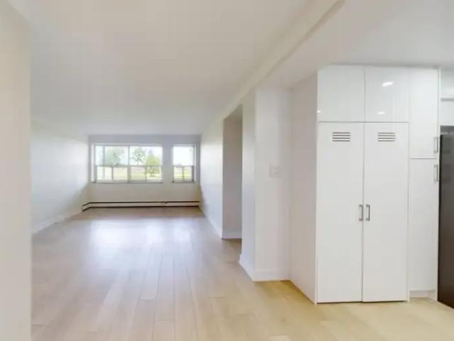 Apartment 1 Bedroom For Rent Hamilton ON 1949 ES102271568