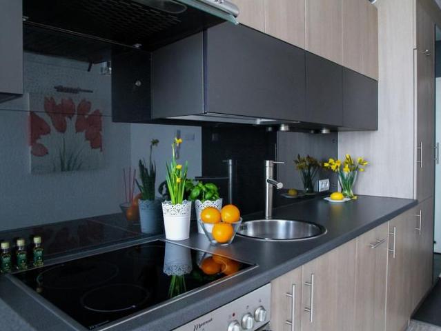 Apartment 1 Bedroom For Rent Hamilton ON 2345 ES96587062