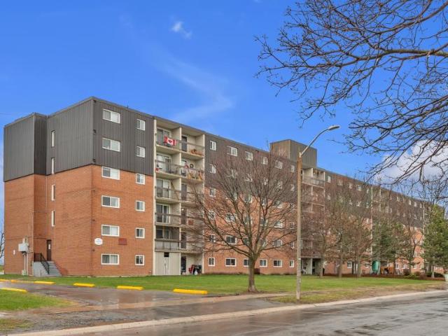 Apartment 1 Bedroom For Rent Kingston ON 1595 ES95020261