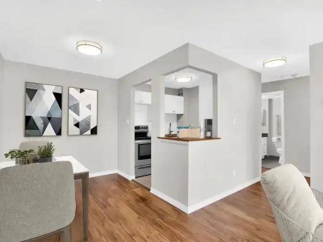 Apartment 1 Bedroom For Rent Kingston ON 1779 ES99972522