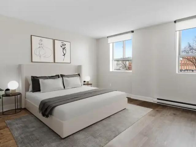 Apartment 1 Bedroom For Rent Kingston ON 1859 ES104752535