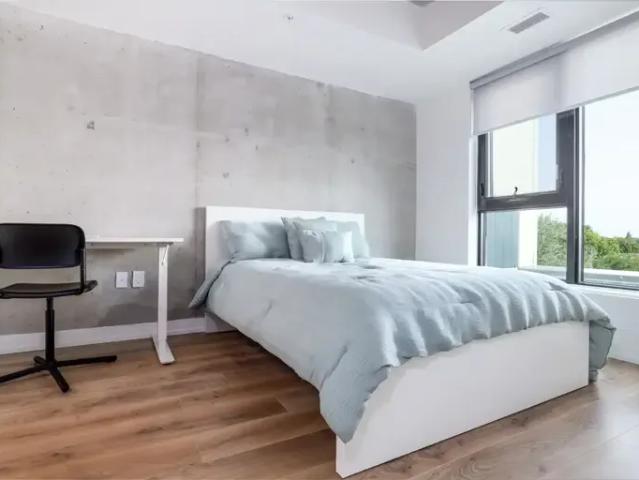 Apartment 1 Bedroom For Rent Kingston ON 1915 ES96589040