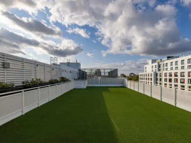 Apartment 1 Bedroom For Rent Kingston ON 2135 ES96589074