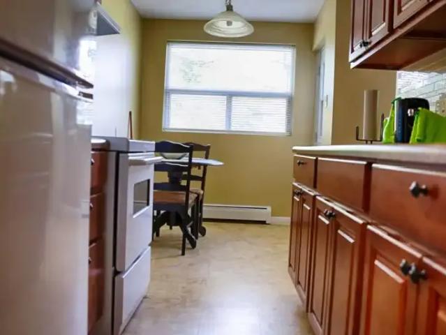 Apartment 1 Bedroom For Rent Kitchener ON 1450 ES103610946
