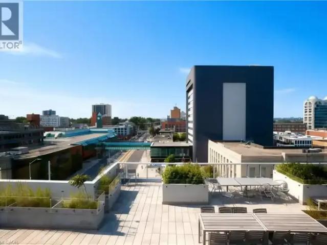 Apartment 1 Bedroom For Rent Kitchener ON 1700 ES103798541