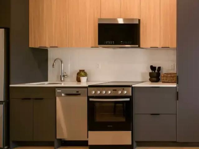 Apartment 1 Bedroom For Rent Kitchener ON 1835 ES96252515
