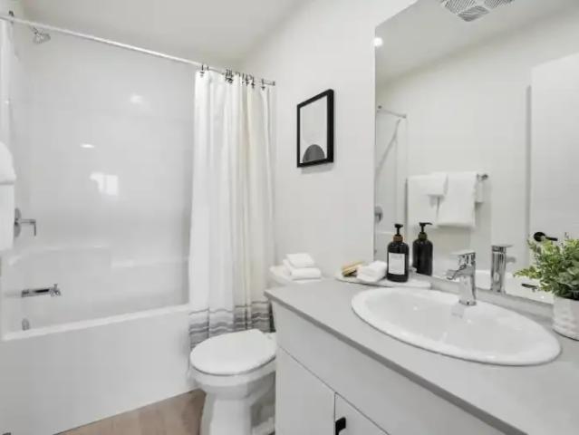 Apartment 1 Bedroom For Rent Lethbridge AB 1480 ES101555261