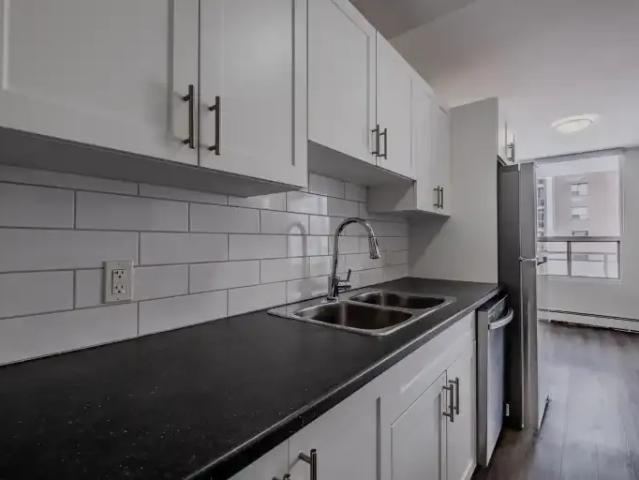 Apartment 1 Bedroom For Rent London ON 1450 ES99596823