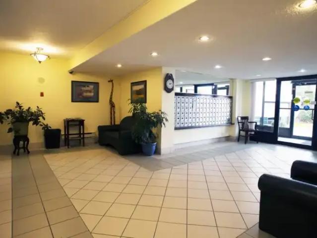 Apartment 1 Bedroom For Rent Peterborough ON 1900 ELS100759190