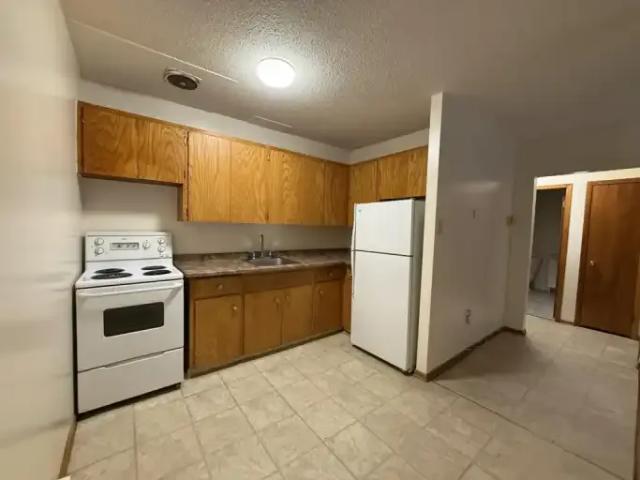 Apartment 1 Bedroom For Rent Regina SK 1200 ES99282721