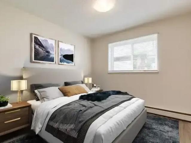 Apartment 1 Bedroom For Rent Red Deer AB 1365 ES101788989