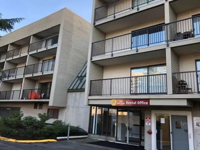 Apartment 1 Bedroom For Rent Richmond BC 1915 ES104362203