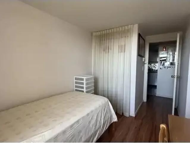 Apartment 1 Bedroom For Rent Richmond BC 1000 ES104864350