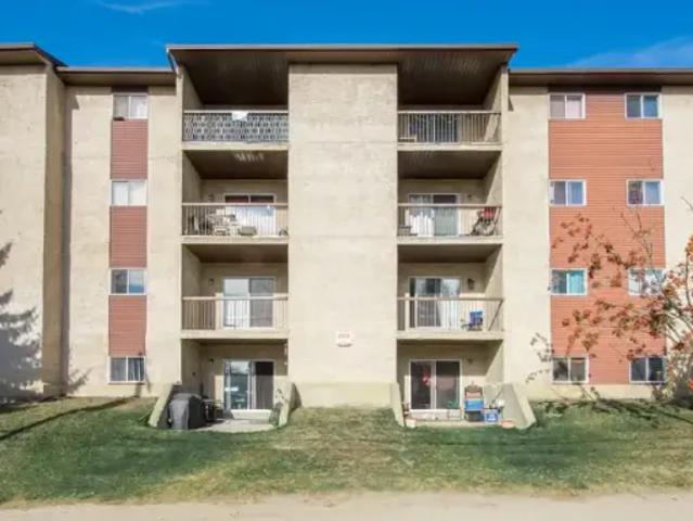 Apartment 1 Bedroom For Rent Stony Plain AB 1123 ES101554296
