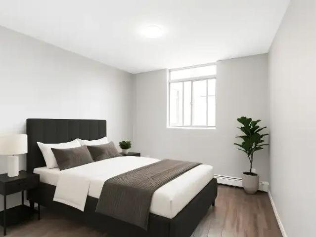 Apartment 1 Bedroom For Rent Stoney Creek ON 1599 ES104876333