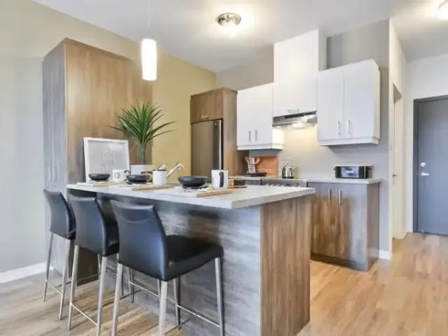 Apartment 1 Bedroom For Rent Saint QC 1600 ES101015639