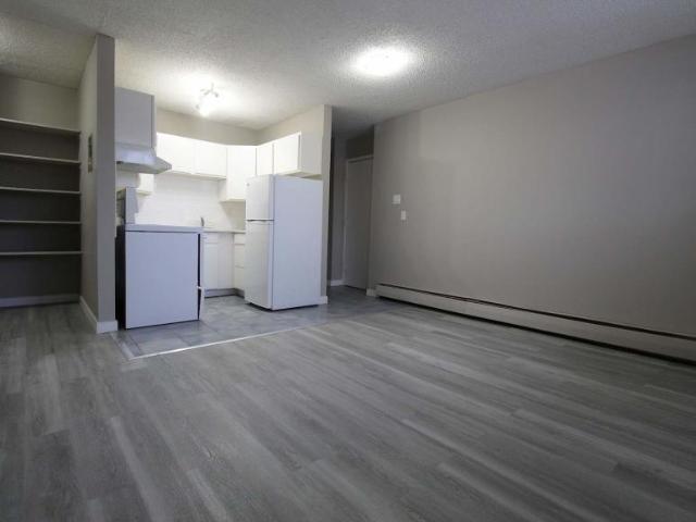 Apartment 1 Bedroom For Rent Saskatoon SK 850 ELS98310632