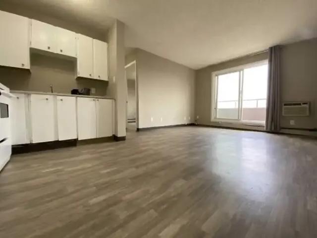 Apartment 1 Bedroom For Rent Saskatoon SK 875 ES102338771