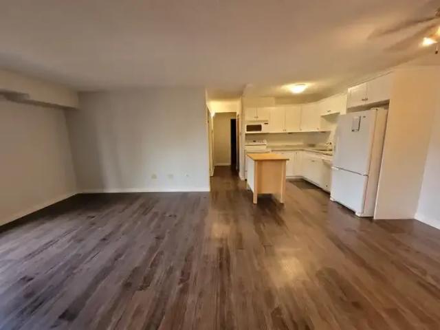 Apartment 1 Bedroom For Rent Saskatoon SK 1400 ELS100487464