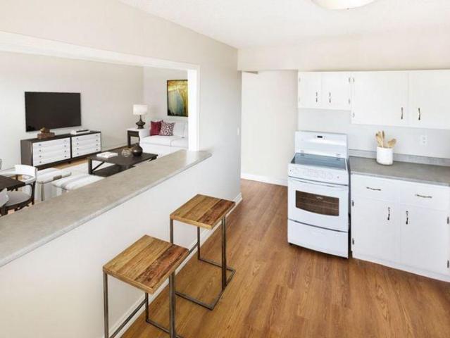 Apartment 1 Bedroom For Rent Saskatoon SK 1500 ES96586746