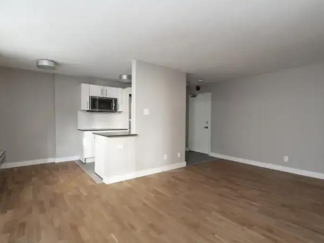 Apartment 1 Bedroom For Rent Toronto ON 1850 ES105087293