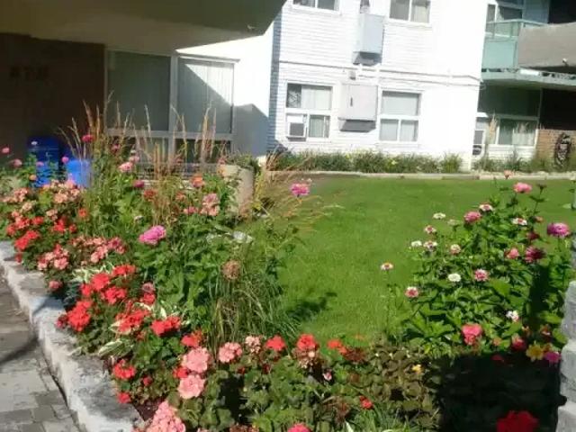 Apartment 1 Bedroom For Rent Toronto ON 2000 ES99718163