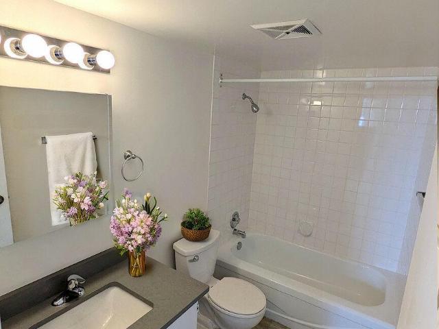Apartment 1 Bedroom For Rent Vancouver BC 1900 ES98314186