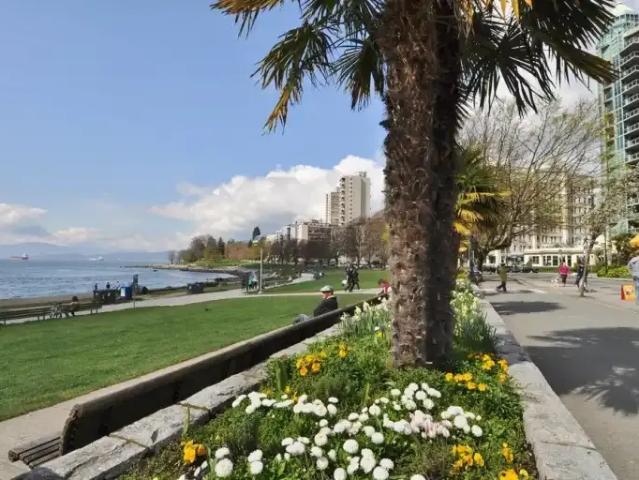 Apartment 1 Bedroom For Rent Vancouver BC 2175 ES104752494