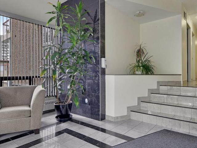 Apartment 1 Bedroom For Rent Vancouver BC 2395 ES98313549