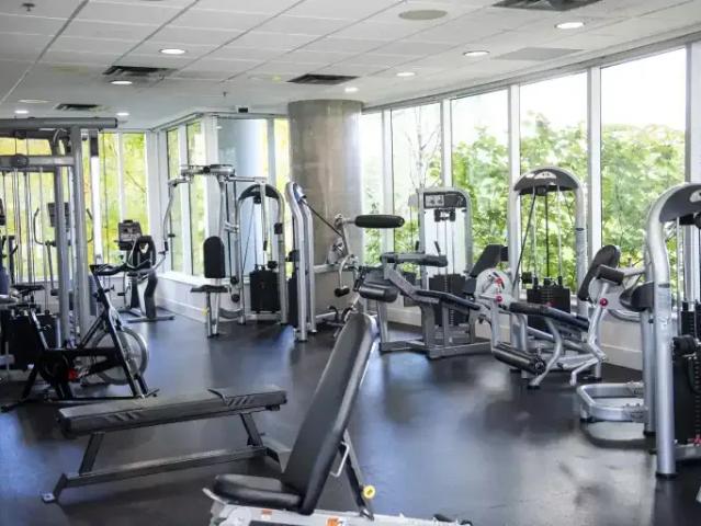 Apartment 1 Bedroom For Rent Vancouver BC 2850 ES103839594