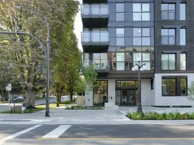 Apartment 1 Bedroom For Rent Victoria BC 1950 ES102578535