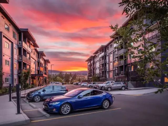 Apartment 1 Bedroom For Rent West Kelowna BC 1505 ELS102844750